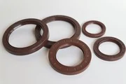FKM Skeleton Oil Seal