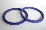 Hydraulic Seals